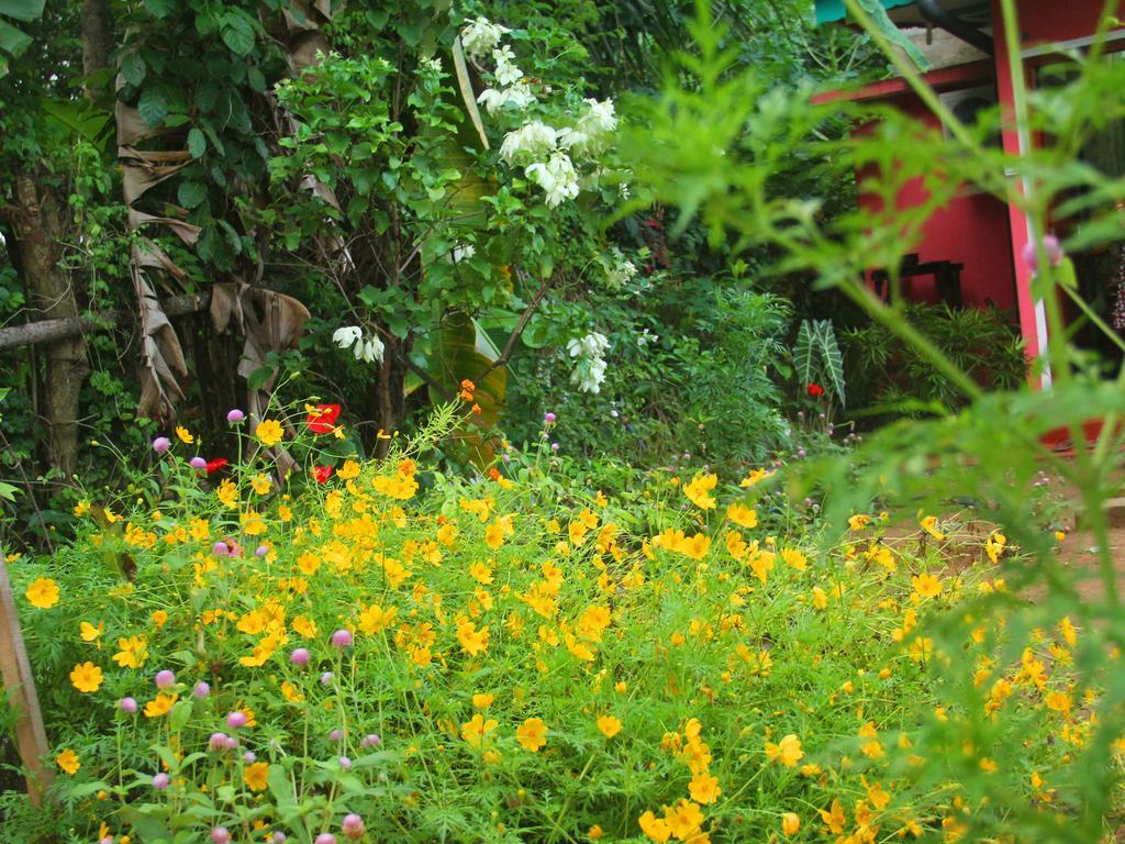 Little Pink House Mirissa Quarto foto