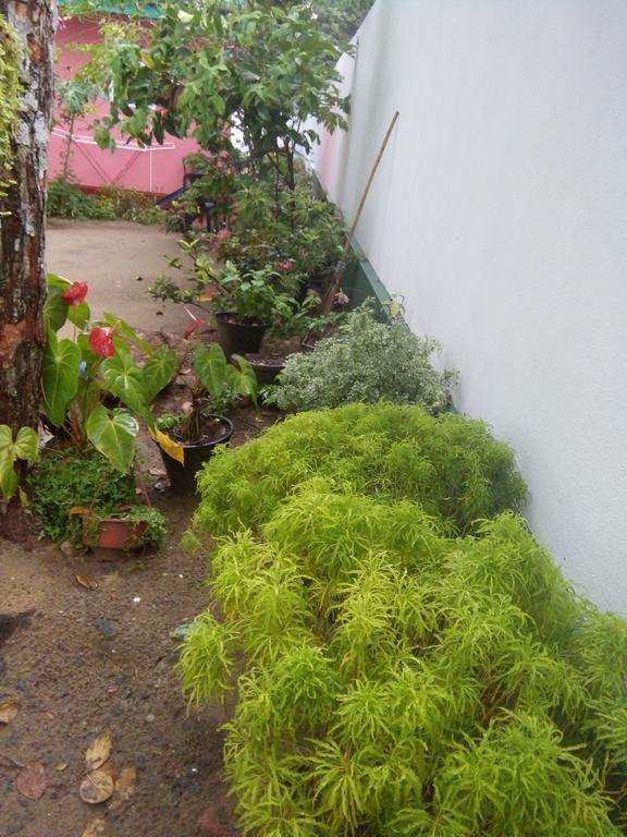 Little Pink House Mirissa Exterior foto
